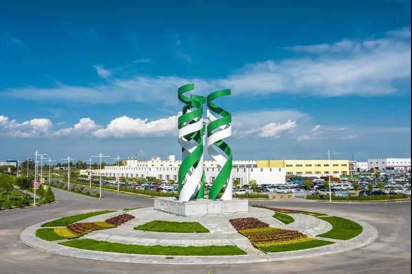 1613099719755668.jpeg 009.jpg