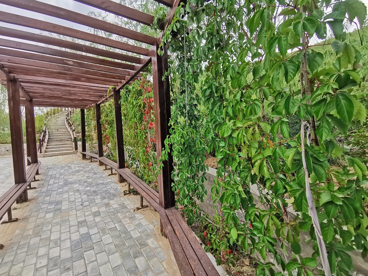 1631951279517488.jpeg Á¹Í¤.jpg