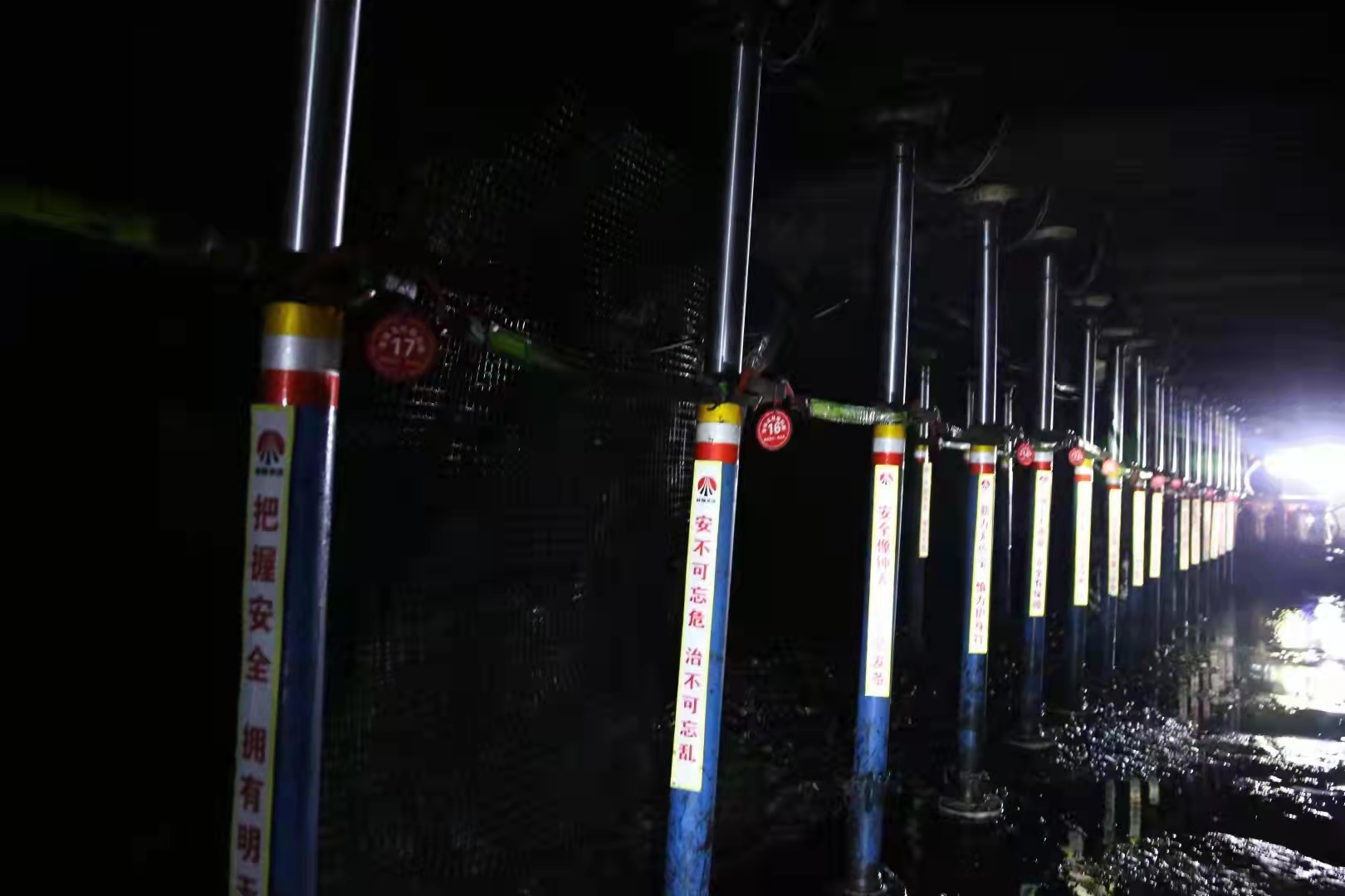 1633439404769827.jpeg 3.jpg