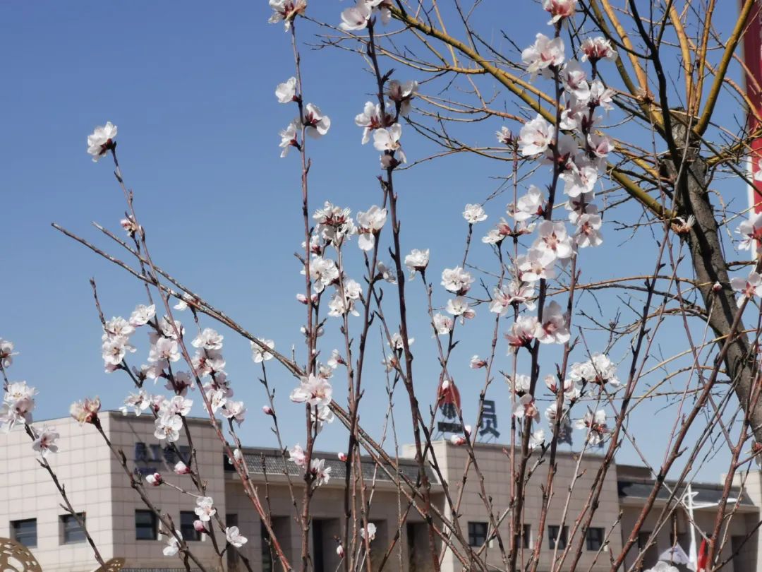 1649480612949227.jpeg 照片1.jpg