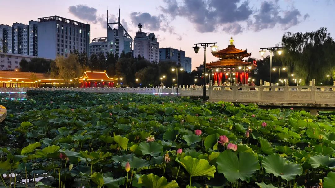 1697082183272536.jpeg 1.jpg