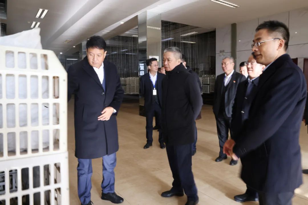 1700899749912623.jpeg 1.jpg