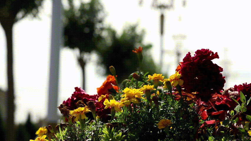 1704330153710807.png 图片8.png