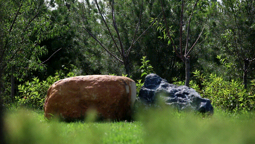 1704330173671533.png 10.png