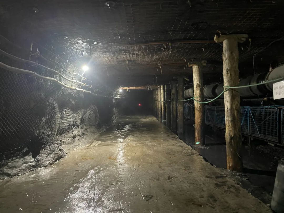 1710124092934815.jpeg 1.jpg