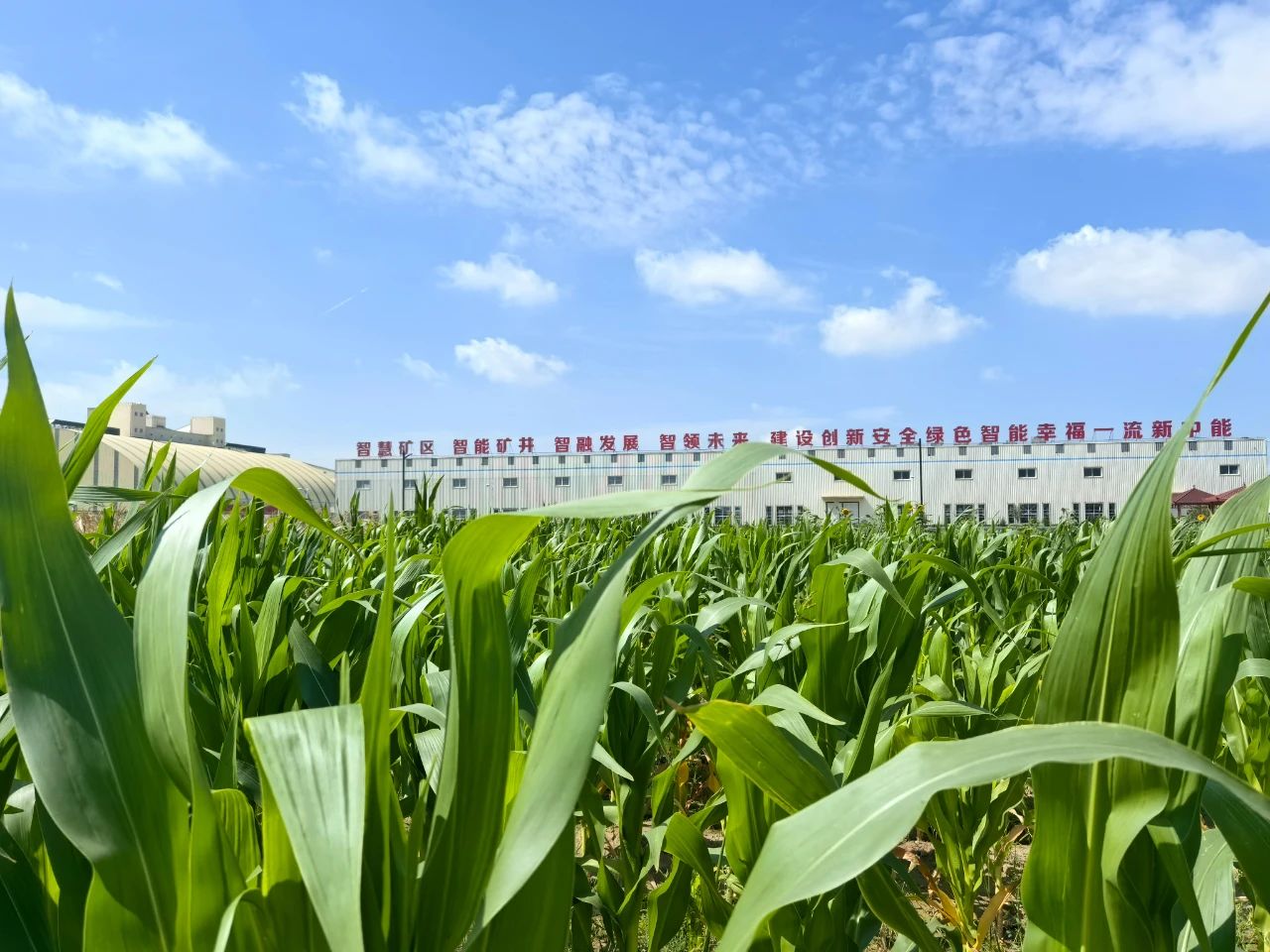 1755757578616925.jpeg 3.jpg