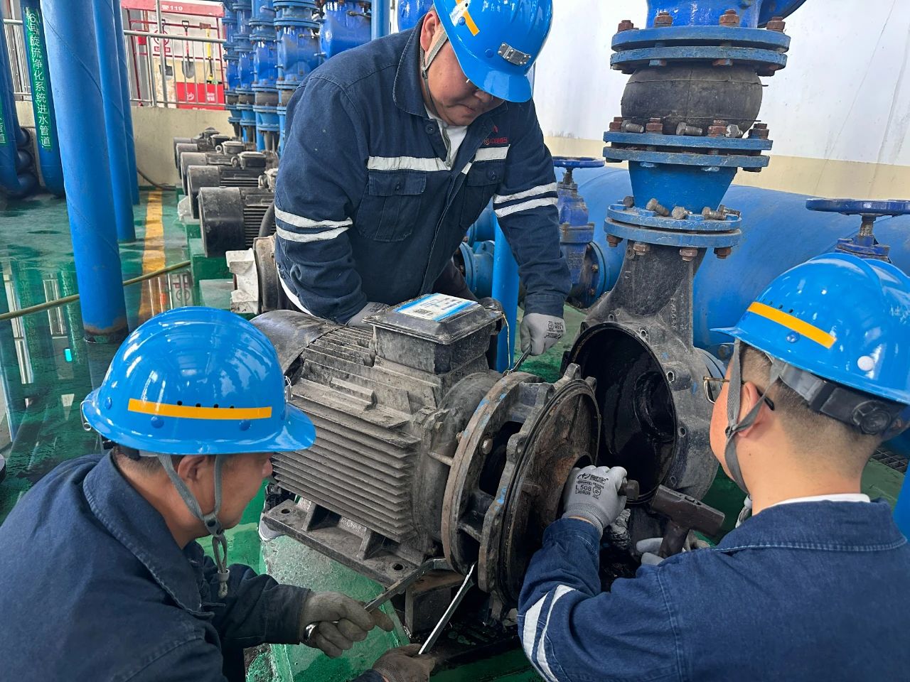 1755912689898535.jpeg 5.jpg