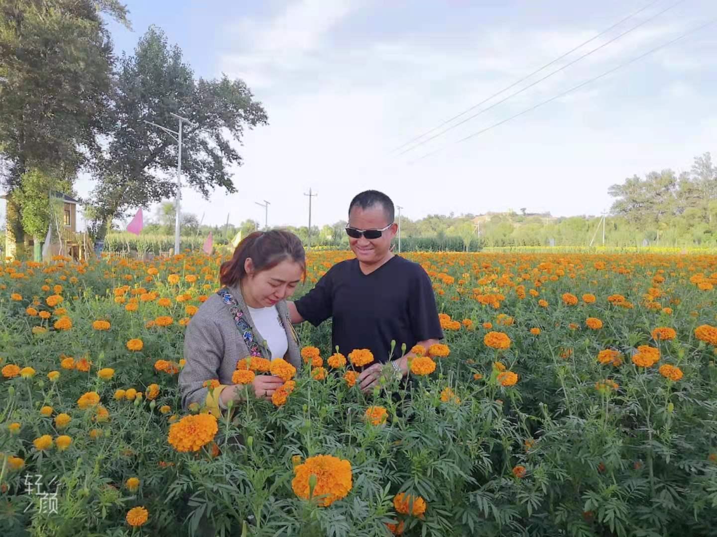 ��ҳ-NG��Ѷ�����˹ٷ���վ