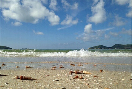 鸿运国际·(中国)官方网站入口