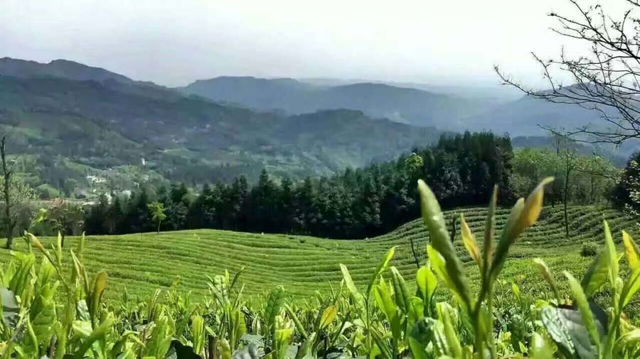 鸿运国际·(中国)官方网站入口