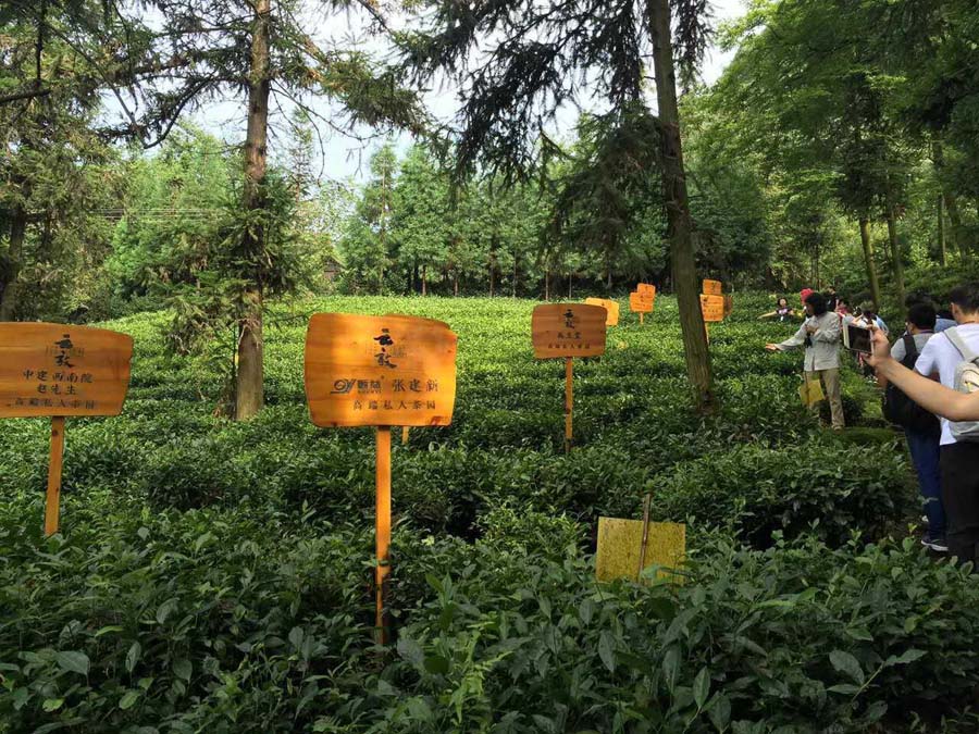 鸿运国际·(中国)官方网站入口