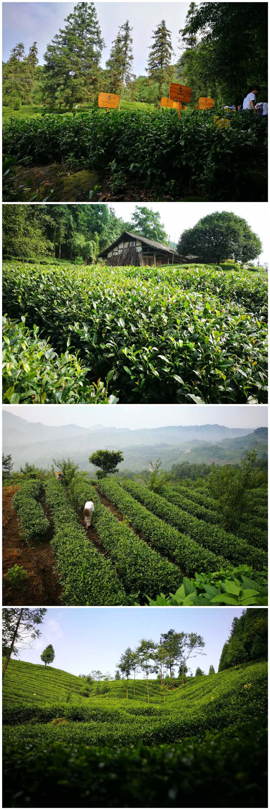 鸿运国际·(中国)官方网站入口